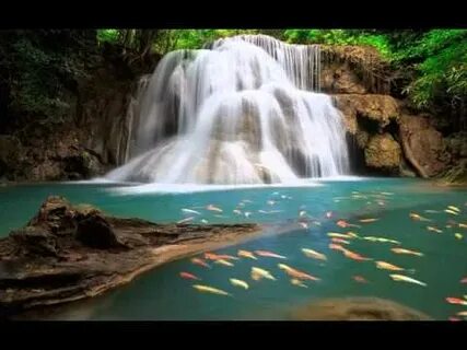 Пятки мен аяқтың порнофотосуреттері