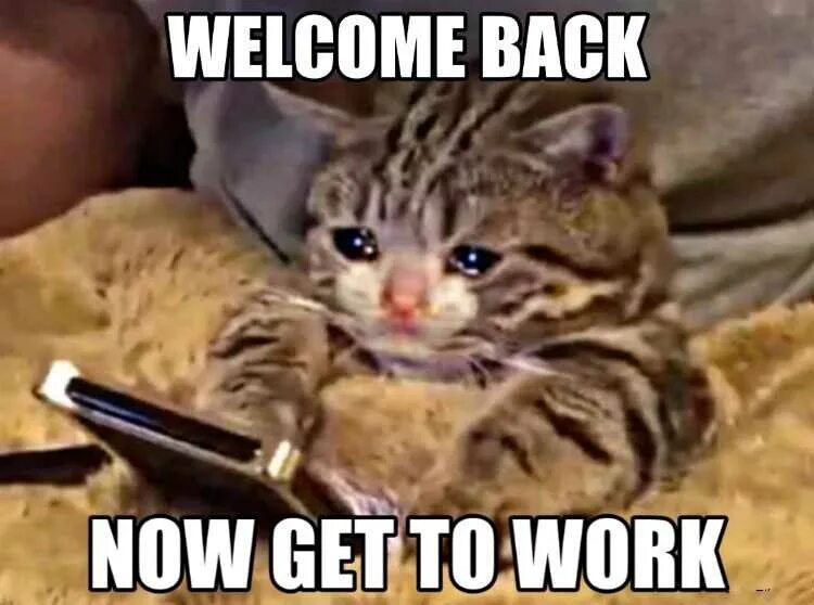 Welcome memes. Welcome back мем. welcome back to work. welcome to мем. back to work мем.