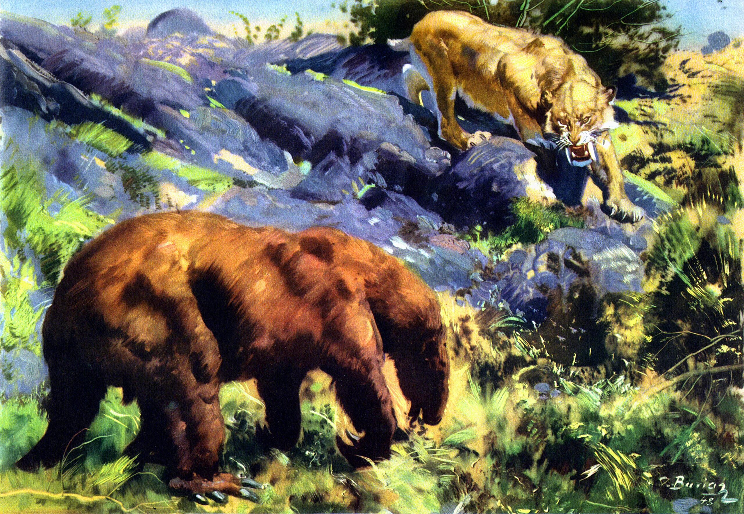 Cмилодон (саблезубый тигр). Велизар симеоновский. Смилодон populator. Смилодон велизар симеоновский. Зденек буриан млекопитающие кайнозоя.