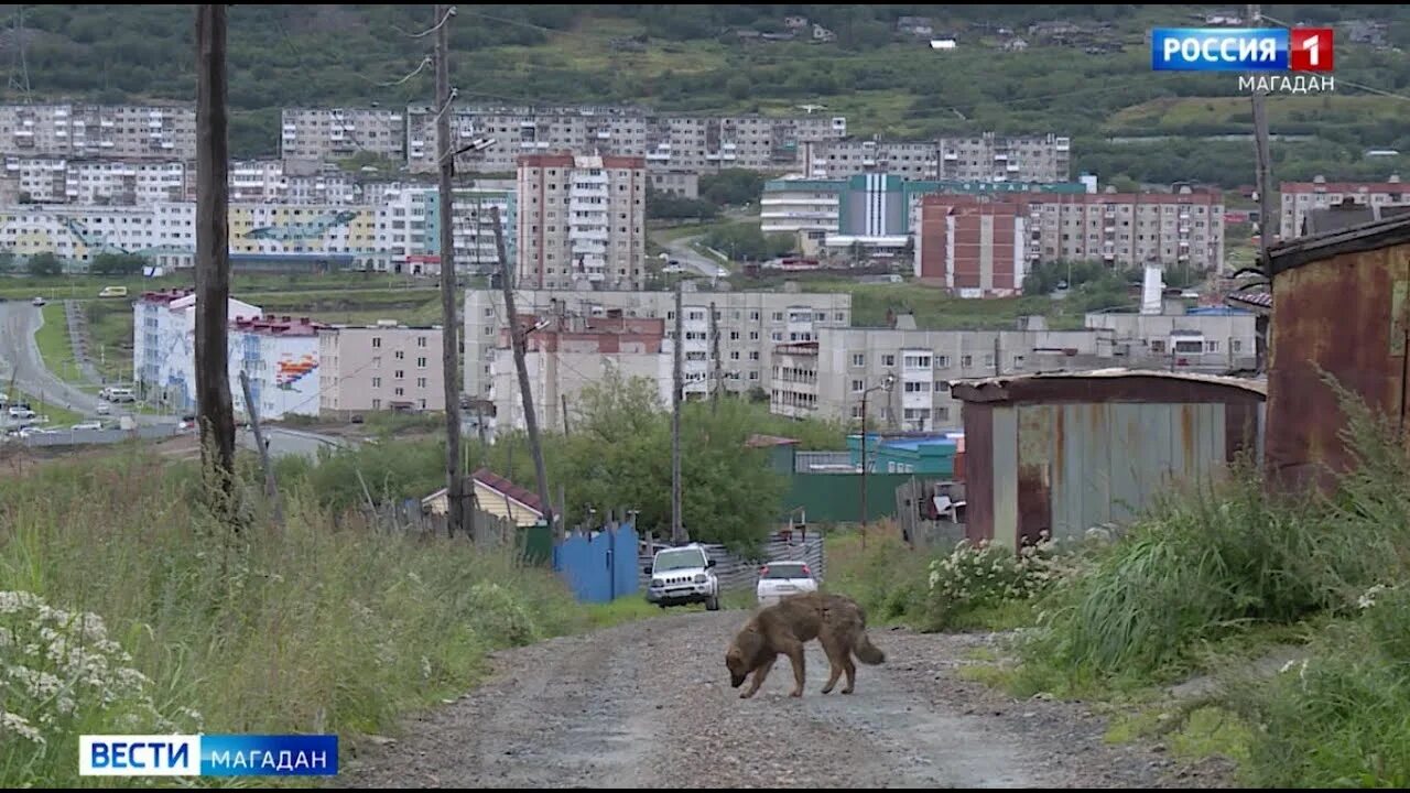 Тв3 магадан. Бухта нагаева магадан. жители магадана. магадан магаданская область. магадан дома.