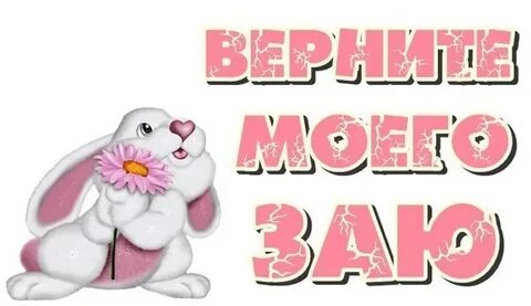 Любимый зая