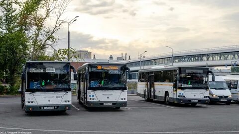 Автобус 248 спб