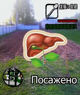 Мемы про майские праздники