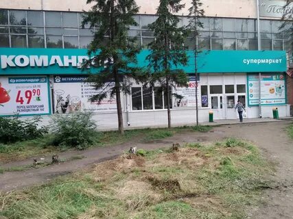 Командор абакан