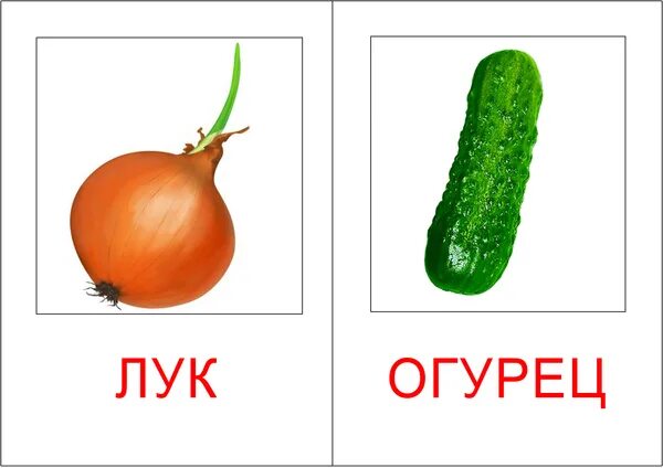 Картинный словарь чувашских слов (овощи)