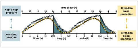 Sleep functions