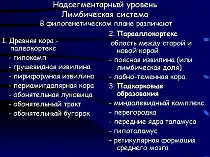 Надсегментарная вегетативная дисфункция