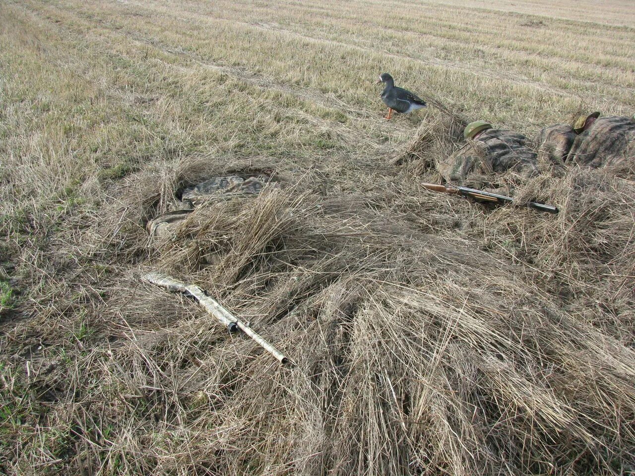 Маскировка на гуся