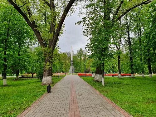 Сквер Защитников Отечества в городе пополнился кедрами