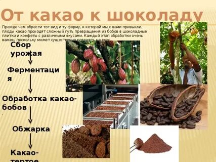 Как делается какао