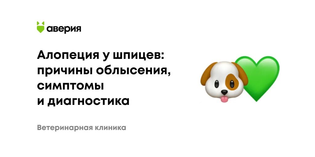 Лечение алопеции у шпица. Алопеция у шпица. Признаки алопеции у шпицев.