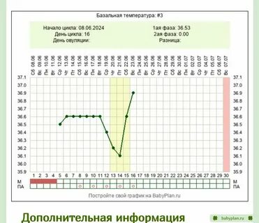 Забеременеть па до овуляции