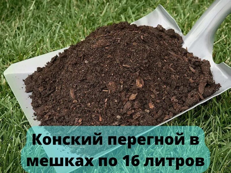 Перегной что это такое и как. Навоз. конский перегной. перегной удобрение. навоз коровий.