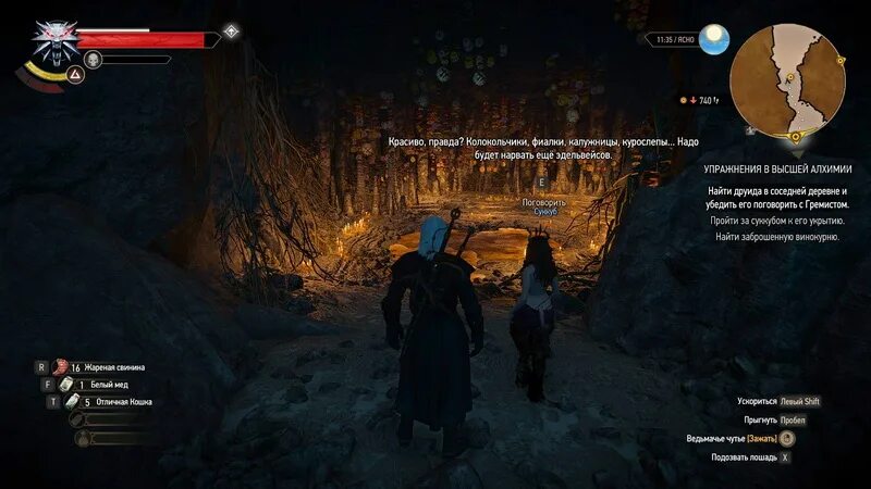 Трисс меригольд ведьмак 2. Ведьмак 3 суккуб на скеллиге. Гнезда чудовищ ведьмак 3 скеллиге. Ведьмак 3 суккуб на скеллиге. Солод ведьмак 3.