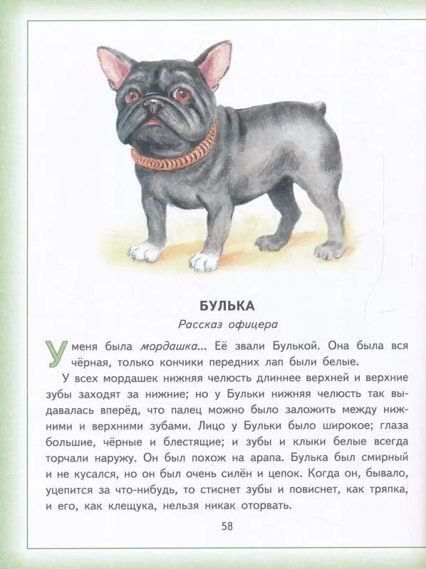 Кличка булька. Лев Николаевич толстой рассказ Булька. Иллюстрации Лев Николаевич толстой Булька. Произведение Льва Николаевича Толстого Булька. Булька Лев Николаевич толстой книга.