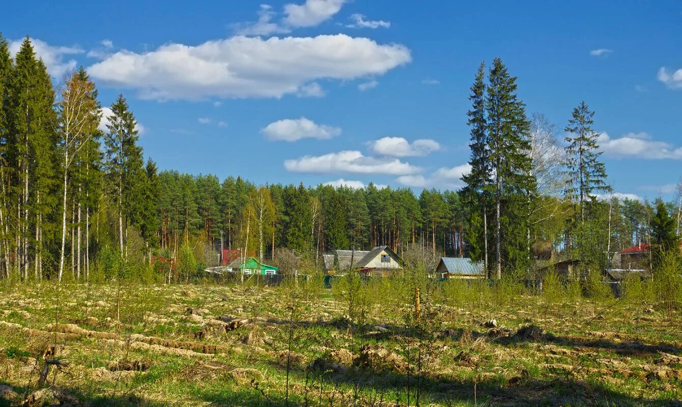 Михайловский панинский район воронежская область. Село михайловское калининский район тверская. Михайловское поселение. Село михайловское калининского района тверской области. Михайловское поселение.