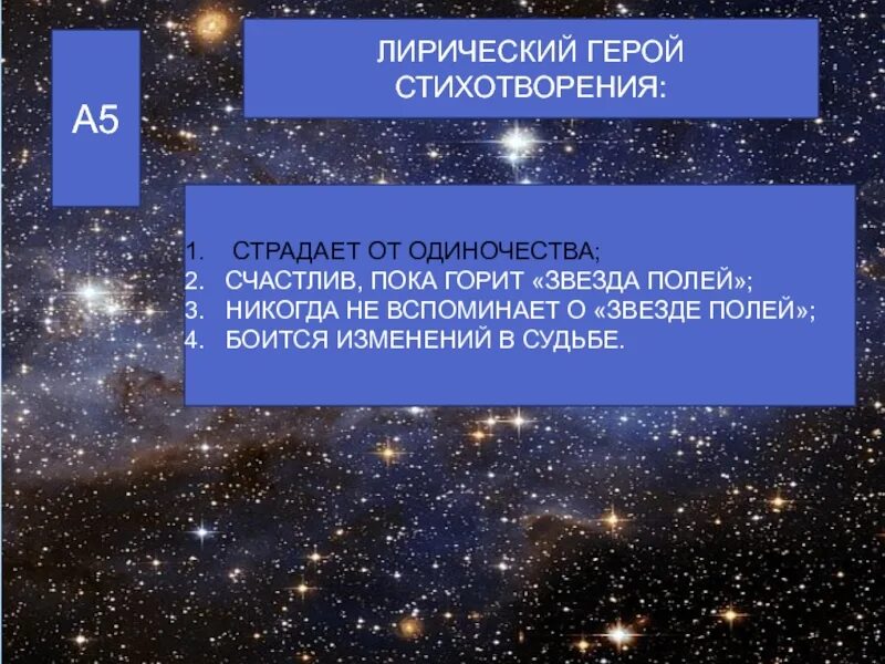 Звезда полей. Стихотворение звезда полей. Звезда полей лирический герой. Лирический герой стихотворения звезда полей.