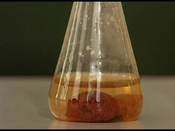 Реакция железа с сульфатом меди 2. Железо сульфат меди 2 сульфат железа. Железо и раствор сульфата меди. Взаимодействие железа с раствором сульфата меди. Реакция взаимодействия металлов с растворами солей