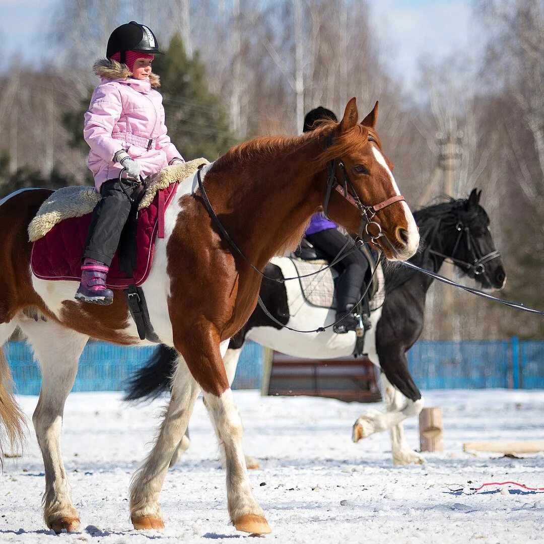 День верховой езды