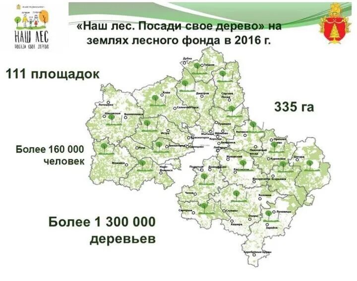 Карта деревьев в лесу. Хвойные леса подмосковья на карте. карта лесов московской области. карта еловых лесов подмосковья. карта хвойных лесов московской области.
