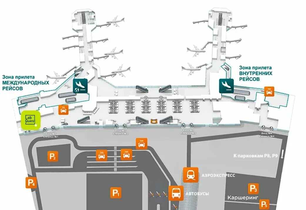Бесплатный телефон аэропорта шереметьево. Домодедово схема аэропорта международные рейсы. Схема аэропорта Домодедово международные рейсы прилет. Аэропорт Домодедово зона прилета внутренних рейсов. Схема аэропорта Домодедово внутренние рейсы прилет.