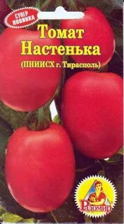 Томат настенька алтай