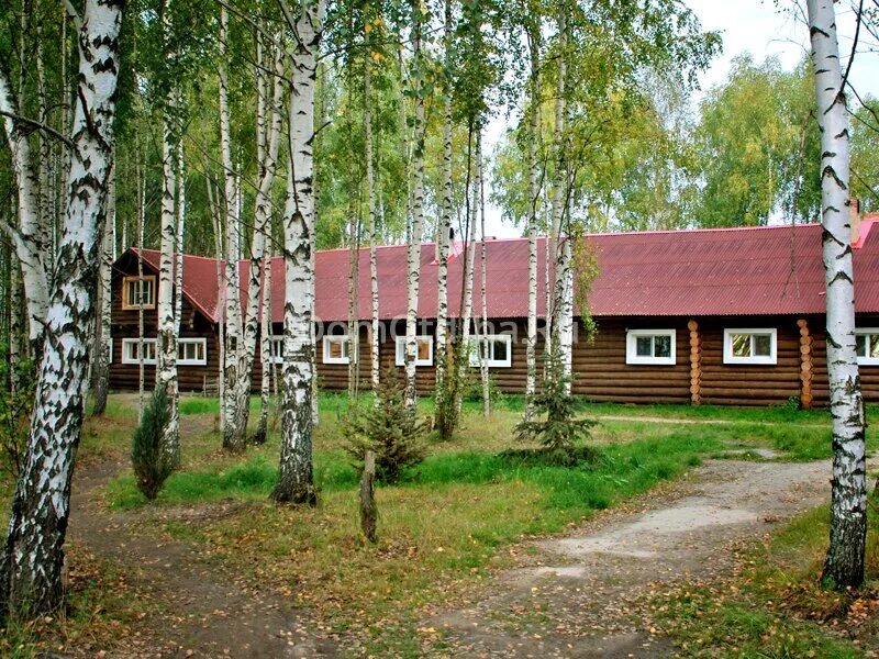 кедр сыктывкар. база отдыха кедр нижегородская область лысковский район. фабрика фасадов кедр лого. кедр нижний новгород. кедр нижний новгород.