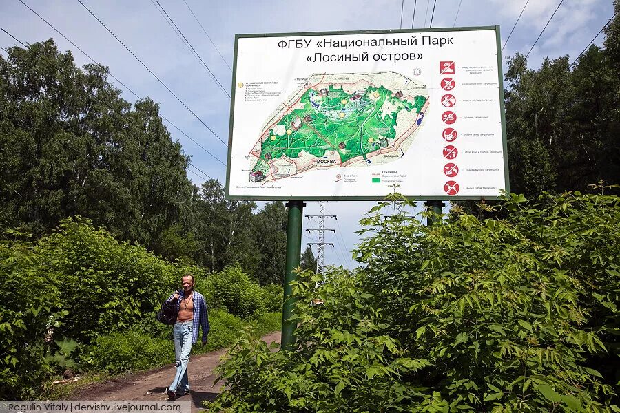 Картинки СТРОЙ ЛОСИНЫЙ