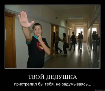 Твой дурак