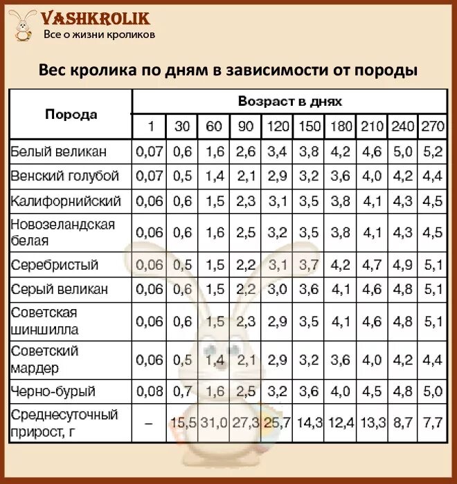 Сколько весит самка. Таблица прироста кроликов по месяцам. Вес кролика в 2 месяца. Вес Калифорнийского кролика по месяцам таблица. Таблица веса кроликов разных пород.