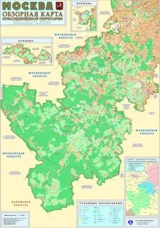 Г московский тинао