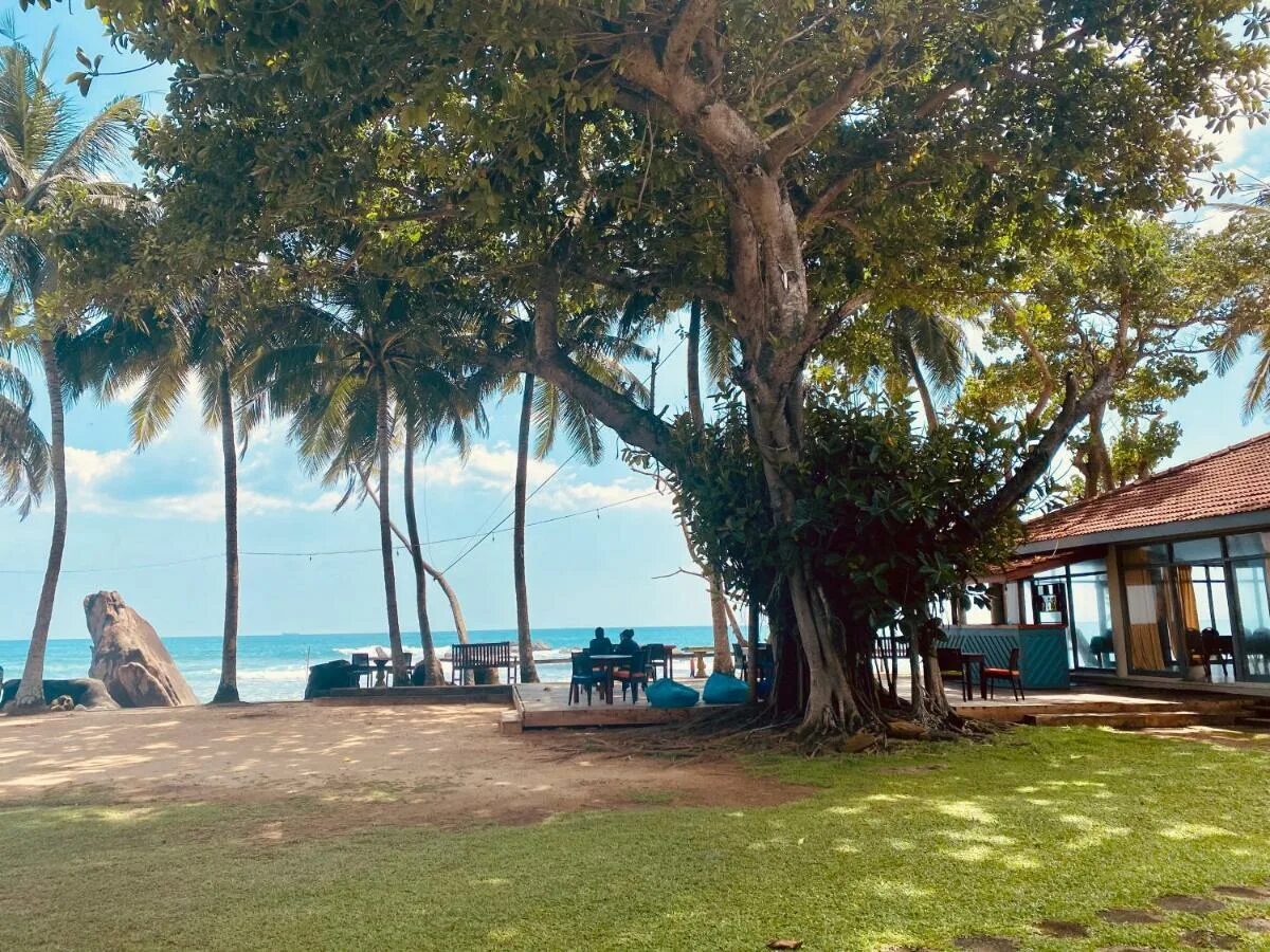 Унаватуна шри ланка 2024. Унаватуна Шри Ланка. Sri Gemunu Beach Resort 4*. Sri Gemunu Beach,Унаватуна. Прайм тайм Унаватуна Шри Ланка.