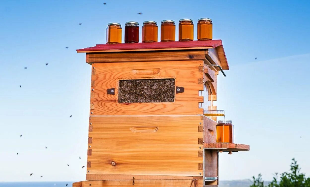 Красный улей 2024. Топ улей для красной пыльцы bee swarm. Улей в красную пыльцу би сварм. Современный улей. Пчеловодство беларуси.