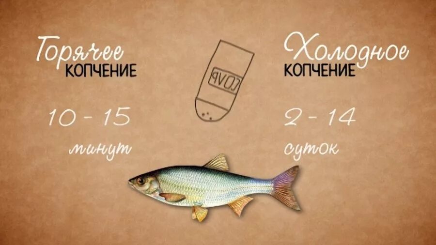 Отличие холодного копчения от горячего. Холодное и горячее копчение. горячее и холодное копчение рыбы. рыба холодного и горячего копчения отличия. рыба горячего и холодного копчения разница.