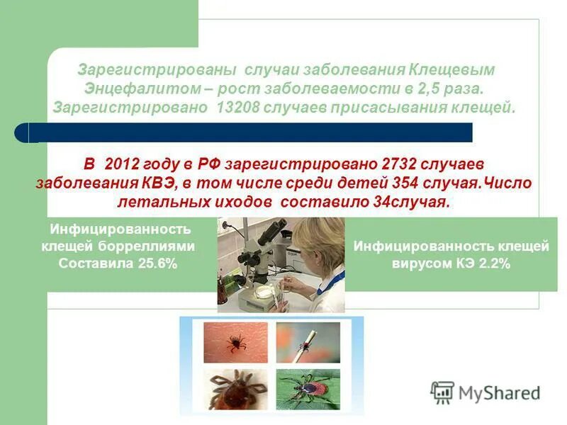 Зарегистрированные случаи. Зарегистрированные случаи