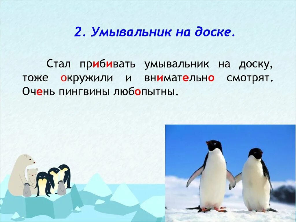 Изложение пингвины