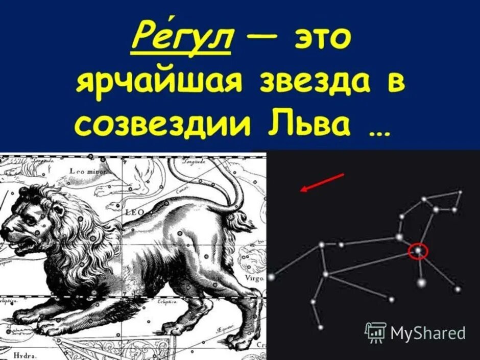 Почему созвездие лев. Звезда регул в созвездии Льва. Созвездие Льва 1 класс. Зодиакальное Созвездие Льва астрономия. Созвездие Лев схема.