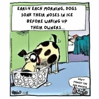 Pin on Dog funnies in 2024 Dog jokes, Funny cartoon pictures, Dog comics