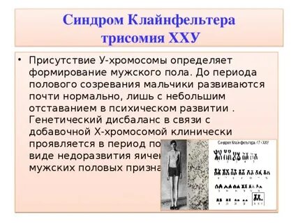 Кариотип 47 хху