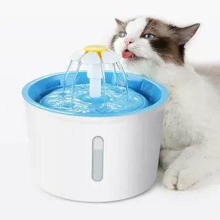 Pet water