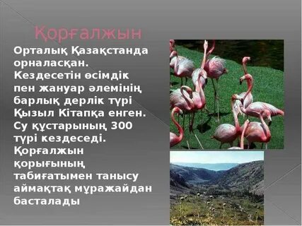 Қызыл кітапқа енген жануарлар