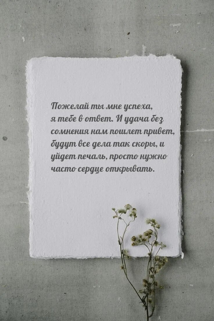 Жизнь пробивается сквозь асфальт цитаты. Цветы сквозь камни цветут цитаты. Цитаты про цветок который пробился через асфальт. Какой привет таков ответ