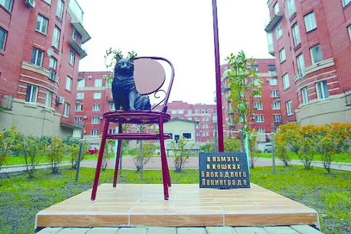 Композиторов 4. Памятник блокадной кошке в санкт-петербурге. памятник кошкам блокадного ленинграда в санкт-петербурге. памятник блокадной кошке в петербурге. памятники блокадному коту на композиторов,4.