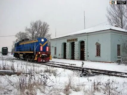 Великий васильевский мох