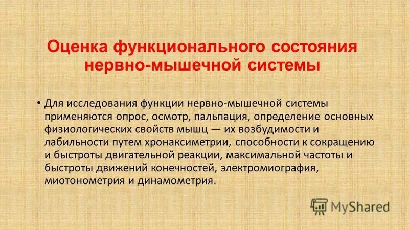 Функциональные методы исследования нервно-мышечной системы. Оценка состояния нервной системы. Оценка функционального состояния мышечной системы. Оценка функционального состояния нервно- мышечной системы человека.