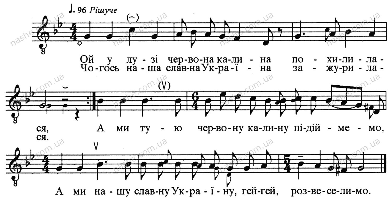 Лузи червона калина текст. Ой у лузи червона калина. червона калина ноты. ой у лузі червона калина слова. ой у лузи червона калына.