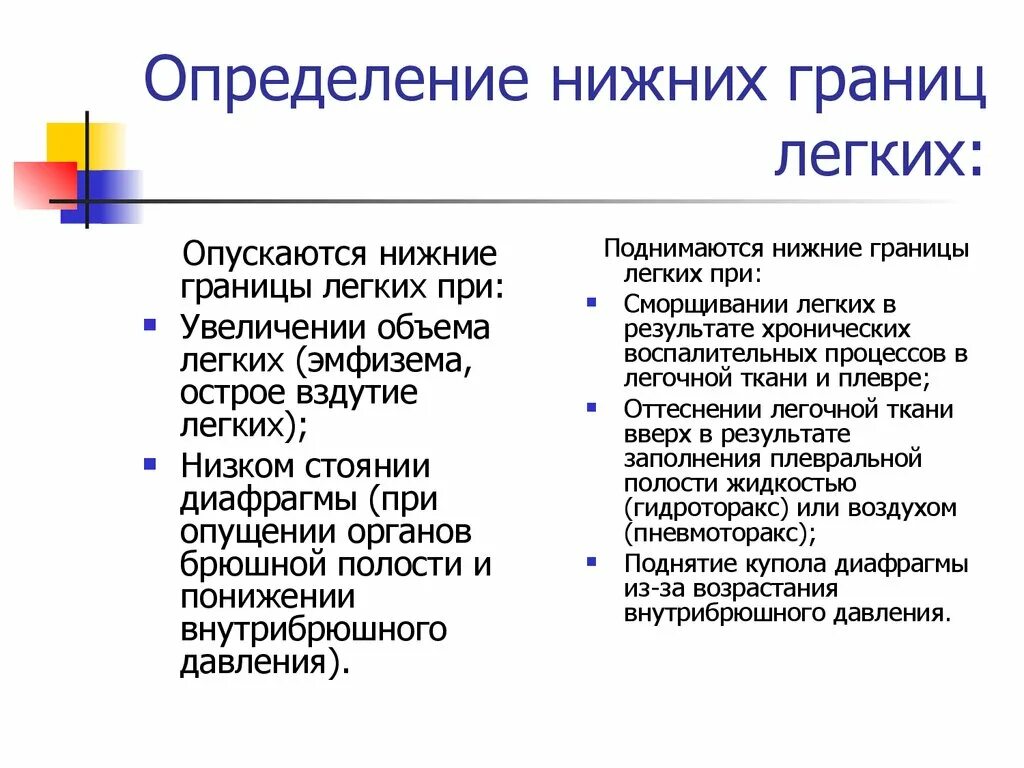 Определение границ легких. Определенграниц легких. Определить нижние границы легких. Определение нижних границ легких.