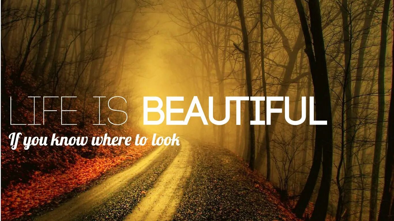 When is life good. Цитаты на английском. Обои на телефон Life is beautiful. Жизнь прекрасна на английском. Фон для цитат.