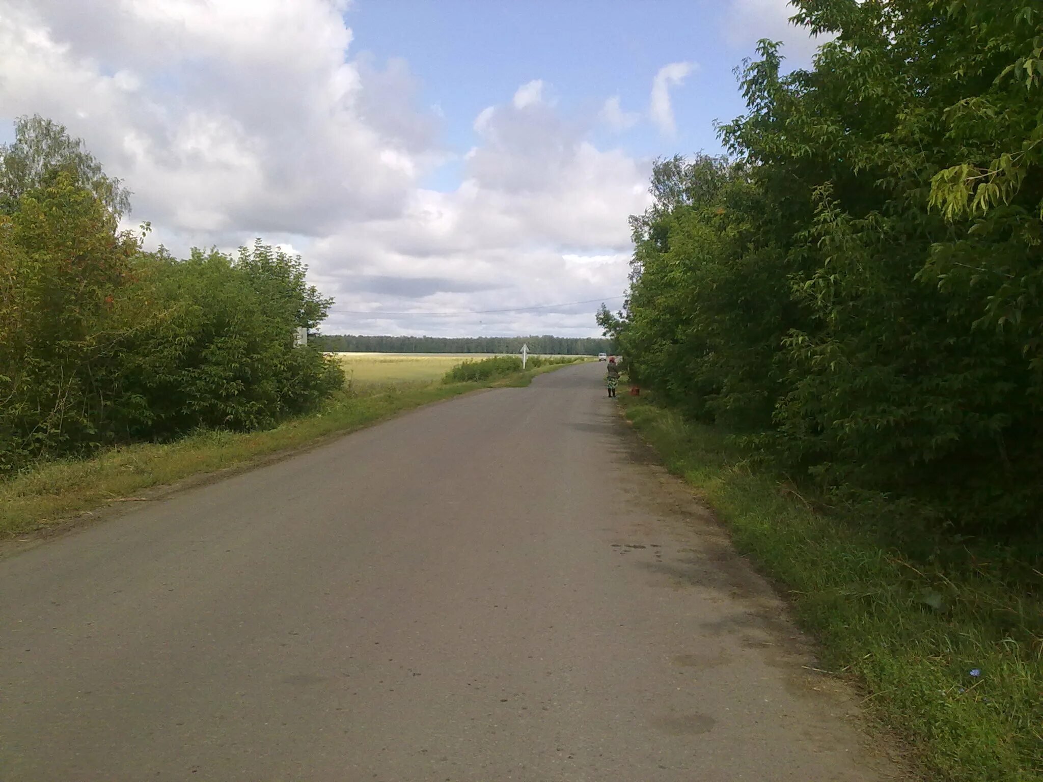 Погода зимари. Погода зимари. Село зимари алтайский край. Село зимари алтайский край. Новороманово алтайский край.