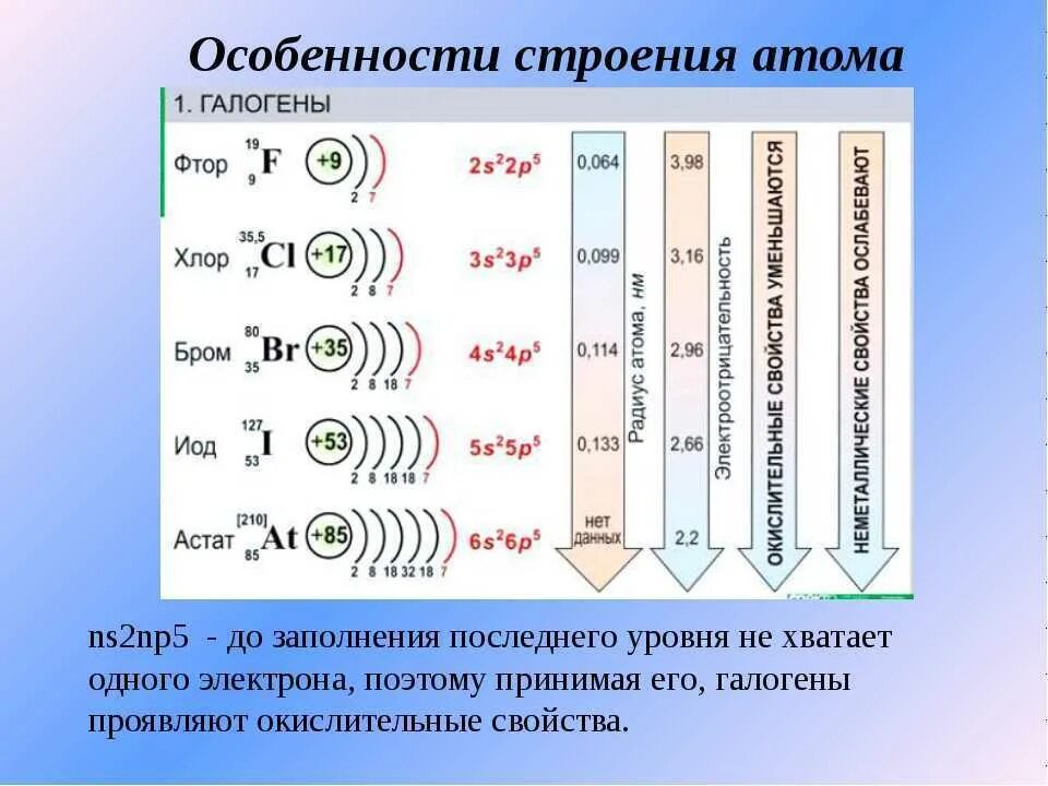 Калий сколько атомов